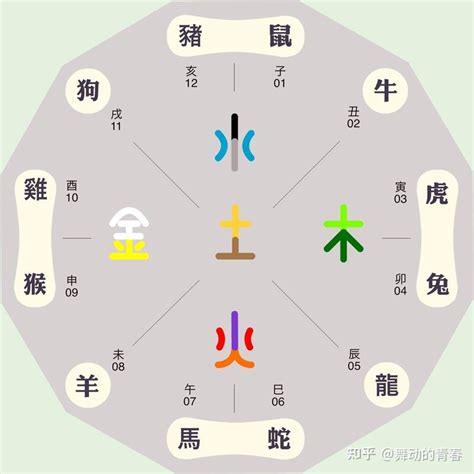 猴子五行|生肖猴和五行的对应关系，你是什么五行的属猴人？